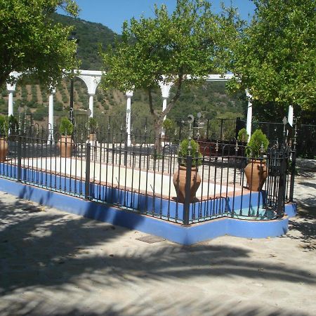 Гостьовий будинок Casa La Rosa P.N. Sierra De Grazalema Бенамаома Екстер'єр фото